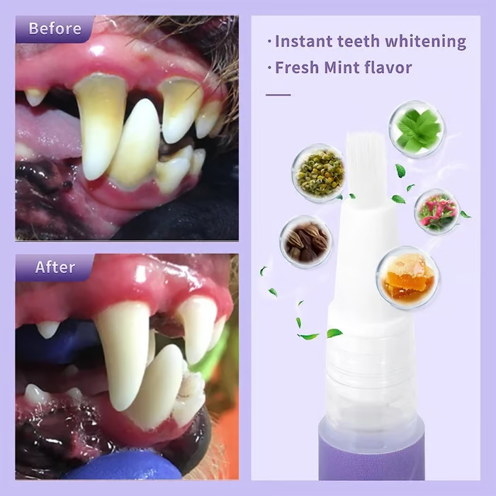 QIAWI™ Pet Oral Repair Gel 🌈