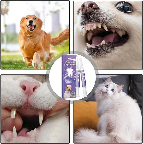 QIAWI™ Pet Oral Repair Gel 🌈